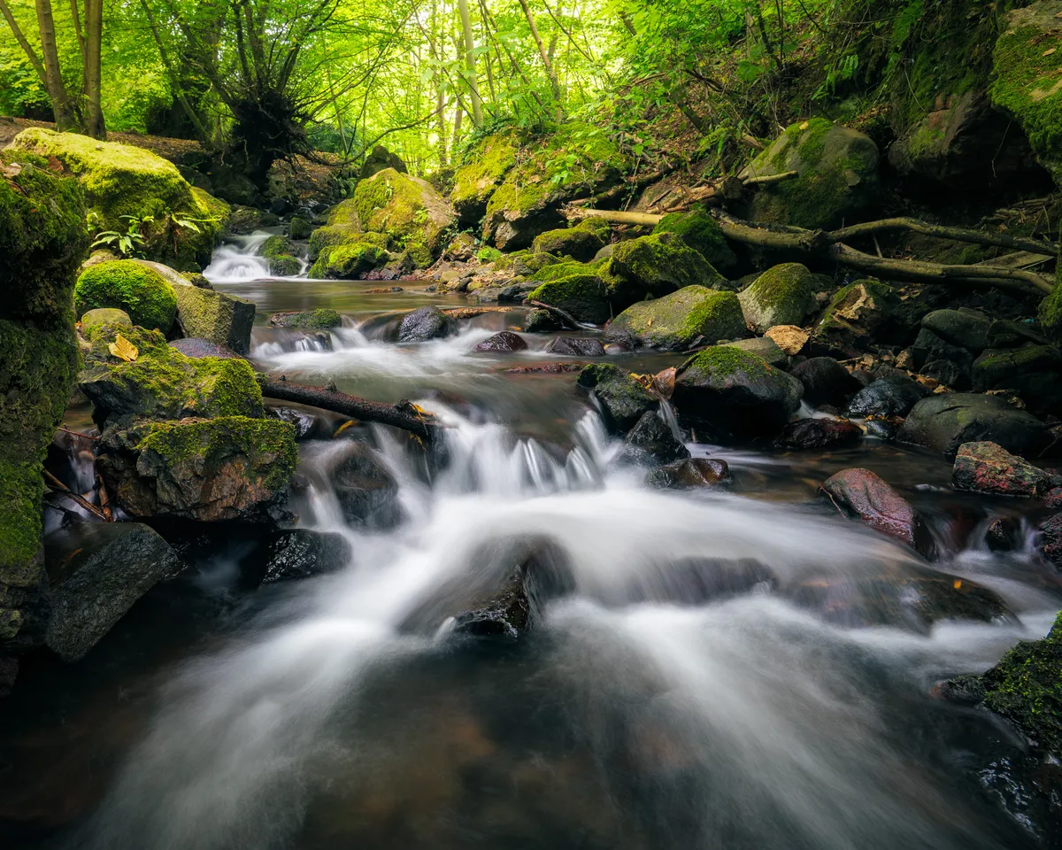 Arroyo que desciende entre rocas cubiertas de musgo en un bosque verde, con el agua suavizada por la exposición.